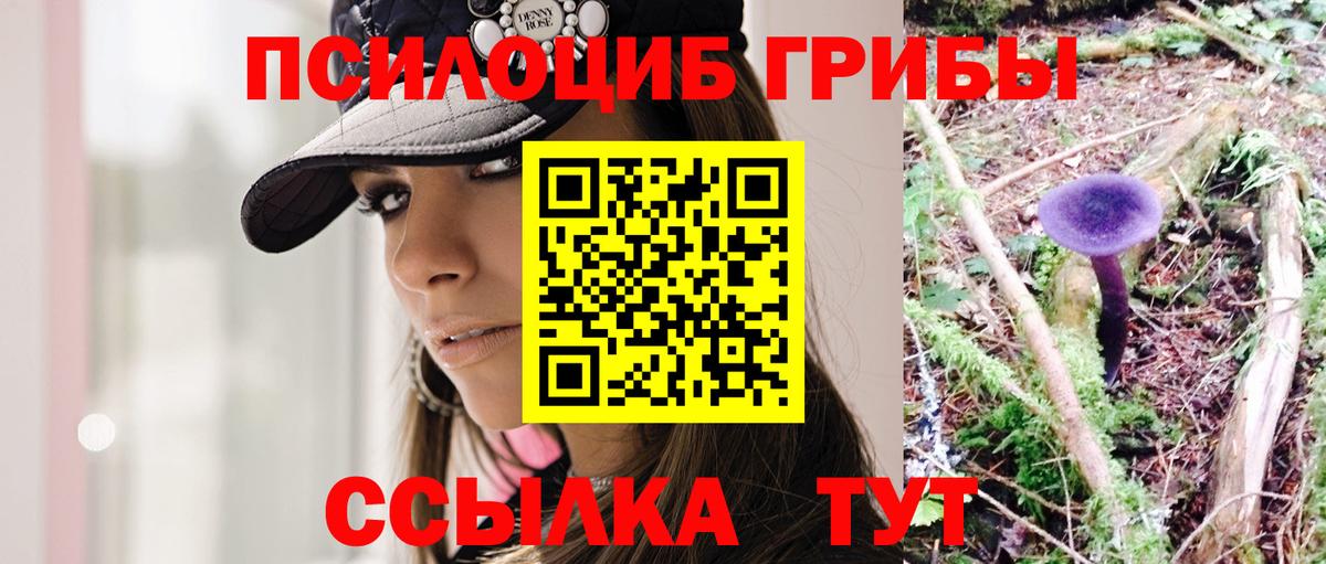 Галлюциногенные грибы GOLDEN TEACHER  Галлюциногенные грибы прущие грибы  Вичуга  Вход с VPN 